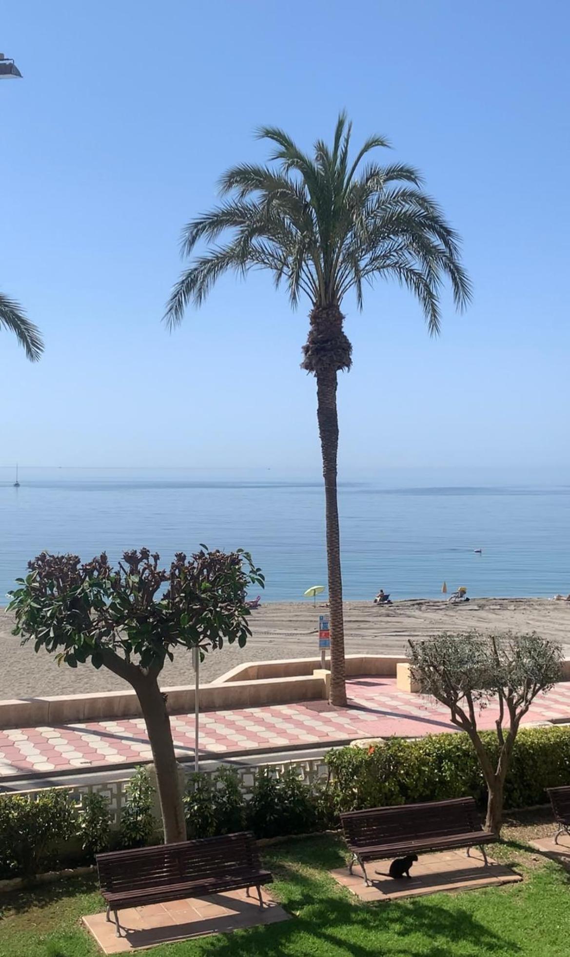 Brisas Del Mar Mediterraneo Агуадулсе Екстериор снимка
